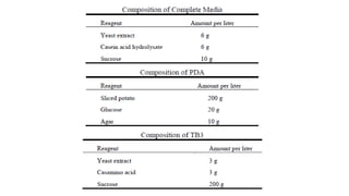 6. writing a research report