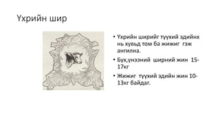 Арьс ширэн материалын түүхий эдийн бүтэц, шинж чанар | PPT