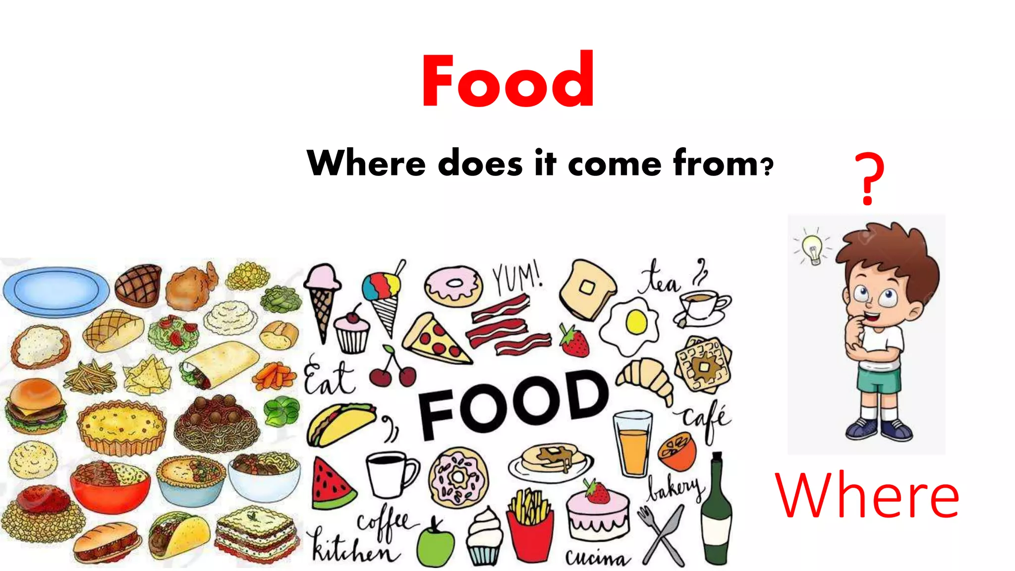 Food where does it come from? PPT
