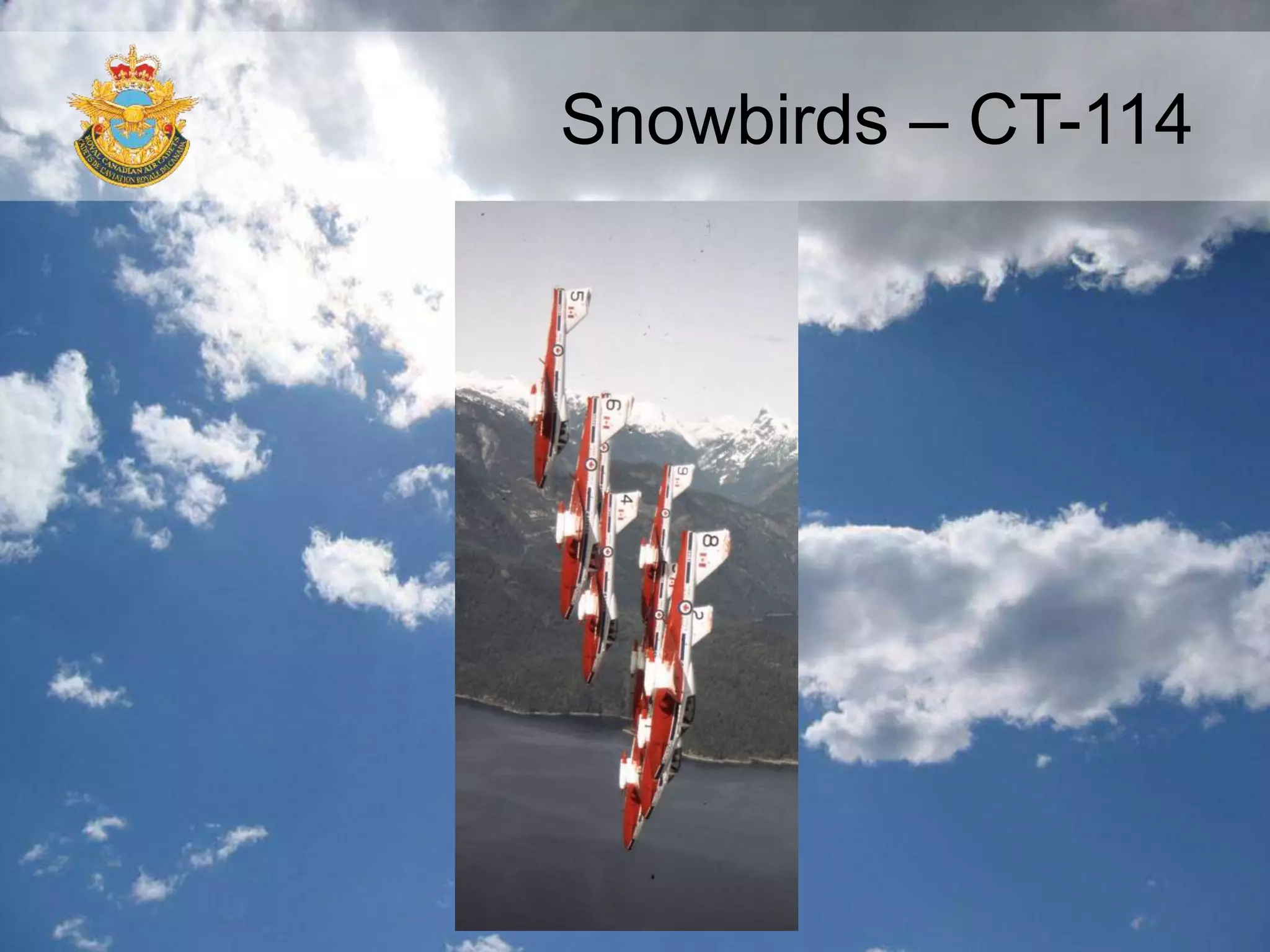 Snowbirds – CT-114
 