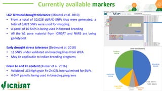 Research Program Genetic Gains (RPGG) Review Meeting 2021: A crop of prodigious opportunities By Dr Rakesh  K. Srivastava