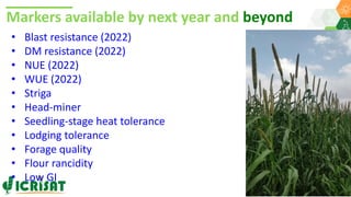 Research Program Genetic Gains (RPGG) Review Meeting 2021: A crop of prodigious opportunities By Dr Rakesh  K. Srivastava
