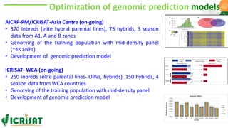 Research Program Genetic Gains (RPGG) Review Meeting 2021: A crop of prodigious opportunities By Dr Rakesh  K. Srivastava