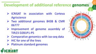 Research Program Genetic Gains (RPGG) Review Meeting 2021: A crop of prodigious opportunities By Dr Rakesh  K. Srivastava