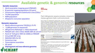 Research Program Genetic Gains (RPGG) Review Meeting 2021: A crop of prodigious opportunities By Dr Rakesh  K. Srivastava