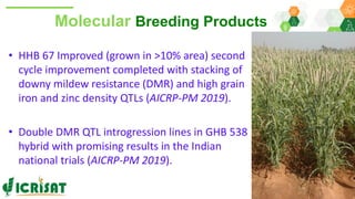 Research Program Genetic Gains (RPGG) Review Meeting 2021: A crop of prodigious opportunities By Dr Rakesh  K. Srivastava
