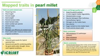 Research Program Genetic Gains (RPGG) Review Meeting 2021: A crop of prodigious opportunities By Dr Rakesh  K. Srivastava