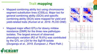 Research Program Genetic Gains (RPGG) Review Meeting 2021: A crop of prodigious opportunities By Dr Rakesh  K. Srivastava