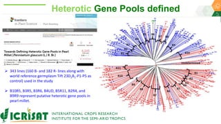 Research Program Genetic Gains (RPGG) Review Meeting 2021: A crop of prodigious opportunities By Dr Rakesh  K. Srivastava