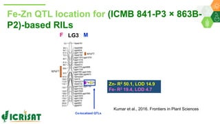 Research Program Genetic Gains (RPGG) Review Meeting 2021: A crop of prodigious opportunities By Dr Rakesh  K. Srivastava