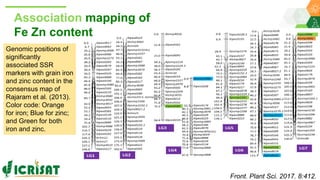Research Program Genetic Gains (RPGG) Review Meeting 2021: A crop of prodigious opportunities By Dr Rakesh  K. Srivastava