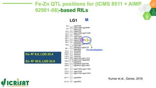 Research Program Genetic Gains (RPGG) Review Meeting 2021: A crop of prodigious opportunities By Dr Rakesh  K. Srivastava