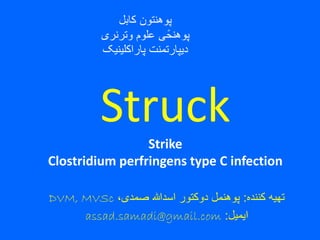 Struck
Strike
Clostridium perfringens type C infection
‫کننده‬ ‫تهیه‬:،‫صمدی‬ ‫اسدهللا‬ ‫دوکتور‬ ‫پوهنمل‬DVM, MVSc
‫ایمیل‬:assad.samadi@gmail.com
‫کابل‬ ‫پوهنتون‬
‫وترنری‬ ‫علوم‬ ‫ی‬ً‫پوهنح‬
‫پاراکلینیک‬ ‫دیپارتمنت‬
 