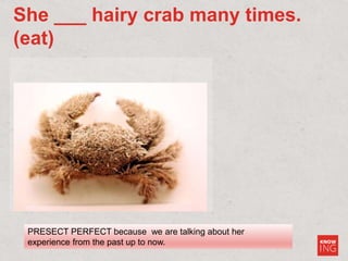 GE3B  week 6.4  AM 2 grammar  present perfect_student copy