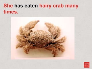 GE3B  week 6.4  AM 2 grammar  present perfect_student copy