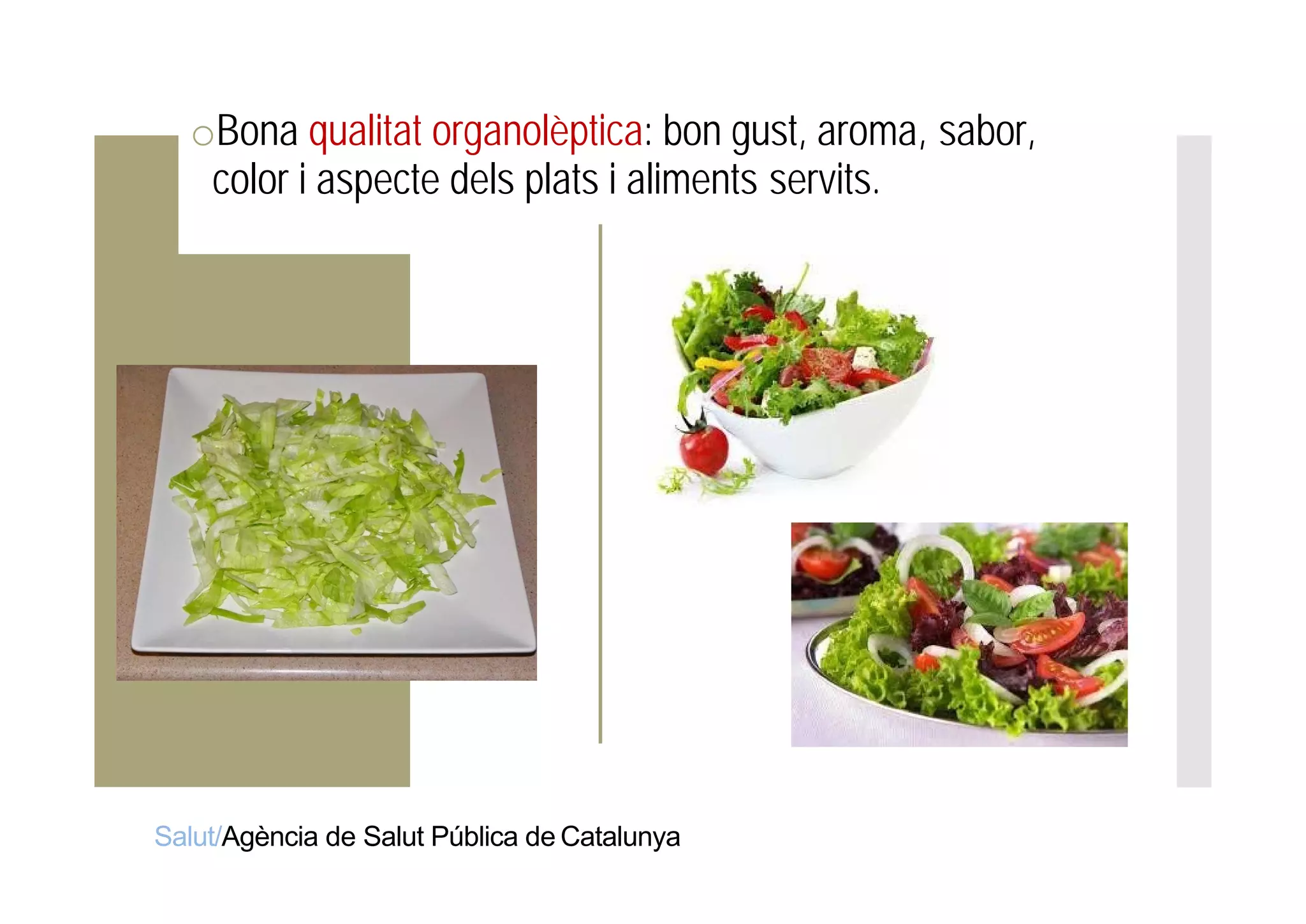 Presentació de vídeos de receptes amb hortalisses i llegums. Maria Blanquer, ASPCAT i Marc Puig-Pey, Fundació Alícia