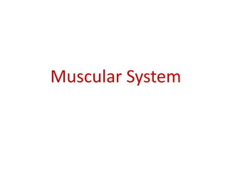 Muscular System
 
