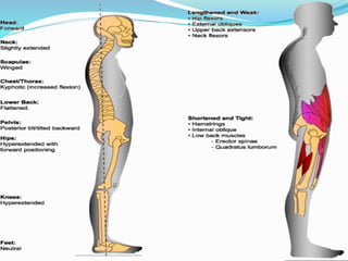 Muscle Function Posture POSTURE | PPTX