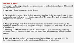 Functions of blood:
1. Transport and storage : Digested nutrients, minerals or food materials and gases (Chironomid
larvae) were transported.
2. Lubricant : Blood stores water for the tissues.
3. Encapsulation: to protect from the large metazoan parasites, the haemocytes of blood, become
aggregated around the foreign body forming a capsule of 2-3 layers. This leads to the death of the
foreign bodies due to lack of O2 supply.
4. Phagocytosis: to get protection from micro organisms like bacteria, viruses and fungi, the
haemocytes completely engulf the foreign body and gets autolysed (this is the principal function
of haemocytes)
5. Immunity and Maintainance of Osmotic pressure: blood gives immunity by producing
antibodies to restrict further infections. Ions and amino acids present in blood balanced osmotic
pressure.
6. Hydraulic medium: hydraulic pressure developed due to blood pumping is useful in the
Ecydysis, wing expansion in adults, maintenance of body shape in caterpillars.
13
 