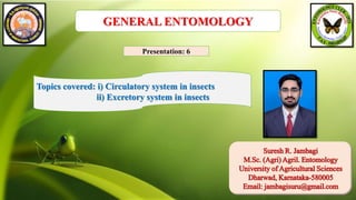 Suresh R. Jambagi
M.Sc. (Agri) Agril. Entomology
University of Agricultural Sciences
Dharwad, Karnataka-580005
Email: jambagisuru@gmail.com
GENERAL ENTOMOLOGY
Topics covered: i) Circulatory system in insects
ii) Excretory system in insects
Presentation: 6
 
