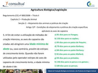 Modo de Produção Biológico de Animais e de Produtos de Origem Animal
Agricultura Biológica/Legislação
Regulamento (CE) nº 889/2008 – Título II
Capítulo 2 – Produção Animal
Secção 2 – Alojamento dos animais e práticas de criação
Artigo 12º - Condições de alojamento e práticas de criação especificas
aplicáveis às aves de capoeira
5. A fim de evitar a utilização de métodos de
criação intensiva, as aves de capoeira são
criadas até atingirem uma idade mínima de
abate ou, caso contrário, provêm de estirpes
de crescimento lento. Quando não forem
utilizadas pelo operador estirpes de aves de
capoeira de crescimento lento, a idade mínima
de abate é de:
a) 81 dias para os frangos;
b) 150 dias para os capões;
c) 49 dias para os patos de Pequim;
d) 70 dias para as patas Barbary;
e) 84 dias para os patos Barbary;
f) 92 dias para os patos Mallard;
g) 94 dias para as pintadas;
h) 140 dias para os perus e os gansos ;
i) 100 dias para as peruas.
 