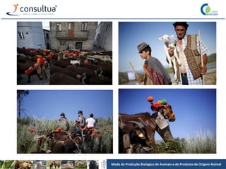 Modo de Produção Biológico de Animais e de Produtos de Origem Animal
 