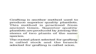 6.grafting | PPTX