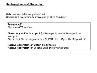 6. excretory system | PPT