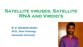 Satellite viruses, Satellite
RNA and Viroid's
N. H. SHANKAR REDDY
Ph.D., Plant Pathology
Annamalai University
 