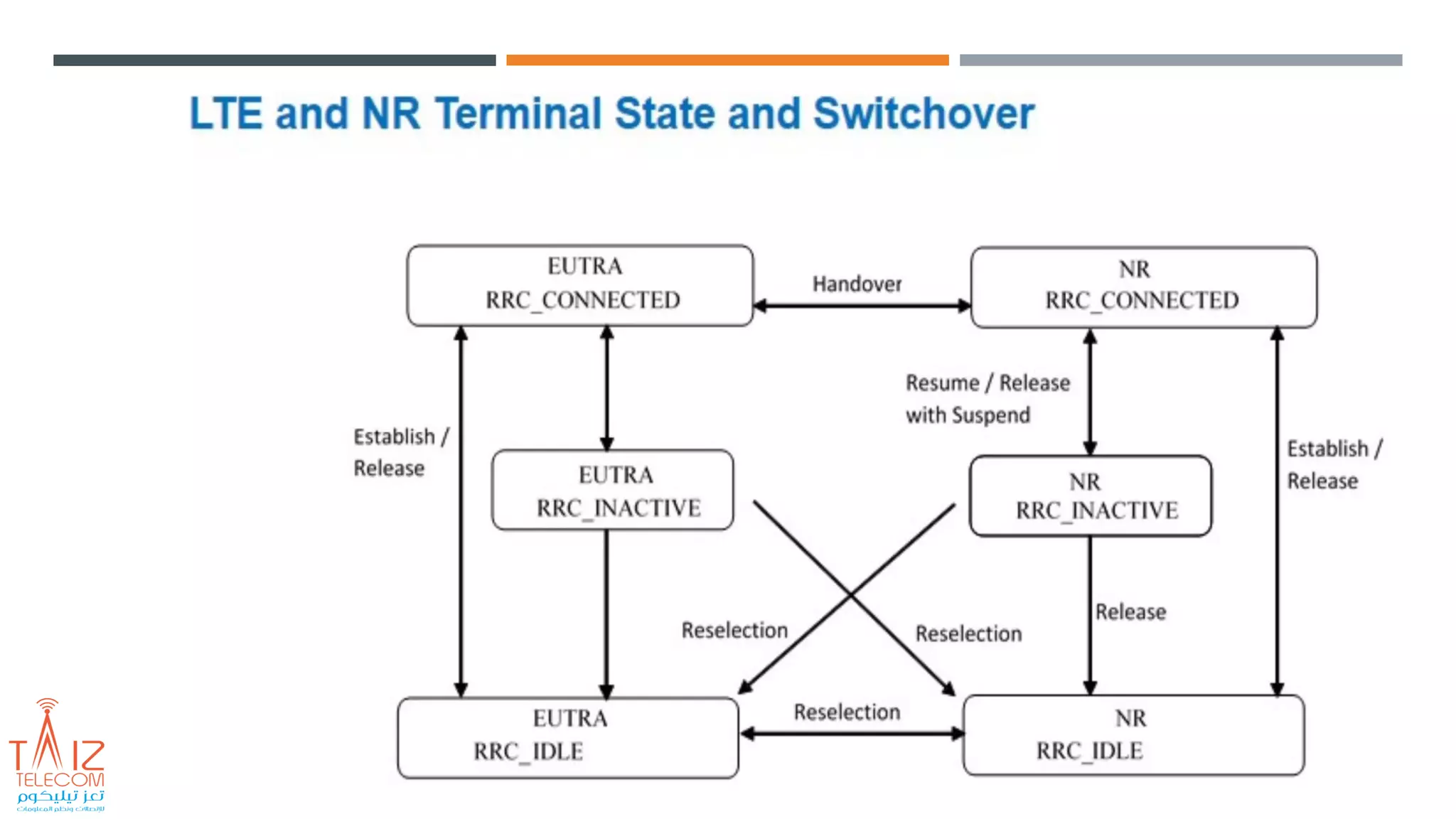5G Physical Channel and Signal