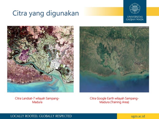 Supervised and Unsupervised Classifications | PDF