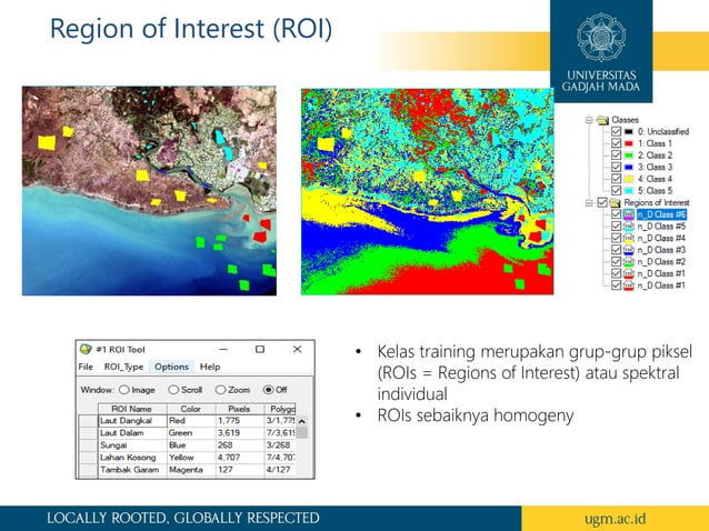 Supervised and Unsupervised Classifications | PDF