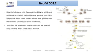 20 July 2021 Abhijit Debnath BP605T and Biotech Unit-3 11
• Only the hybridoma cells have got the ability to divide and
proliferate on the HAT medium because genome from the B-
lymphocyte makes them HGPRT positive and genome from
the myeloma cells they can divide indefinitely.
• Thus only the hybridoma cells or fused cells are selected
using selective media called as HAT medium.
Step-VI CO3.2
 