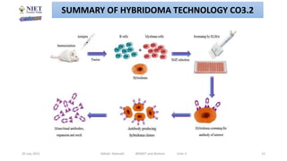 20 July 2021 Abhijit Debnath BP605T and Biotech Unit-3 12
SUMMARY OF HYBRIDOMA TECHNOLOGY CO3.2
 