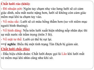 Chất lưỡi ráo (khô):
- Đô nhuận ướt: Ngón tay chạm nhẹ vào lưng lưỡi sẽ có cảm
giác dính, nếu mất nước nặng hơn, lưỡi sẽ không còn cảm giác
mềm mại khi ta chạm tay vào.
- Về màu sắc: Lưỡi sẽ có màu hồng thẫm hơn (so với niêm mạc
ngưòi bình thưòng).
- Về hình dáng: Nếu trên lưỡi xuất hiện những nếp nhăn dọc thì
sự mất nước rất trầm trọng (trên 3 lít).
- Về mặt tư thế: Lưỡi có thể bị rụt lại.
=>ý nghĩa: Biểu thị một tình trạng Tân Dịch bị giảm sút.
Chất lưỡi chắc (lão)
- Dấu hiệu chẩn đoán: Chất lưỡi được gọi là Lão khi lưỡi mất
vẻ mềm mại khi nhìn cũng như khi sờ.
 