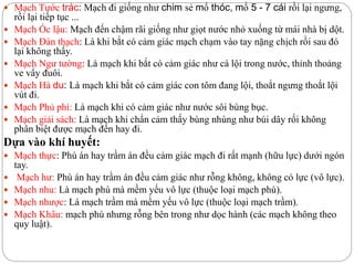  Mạch Tước trác: Mạch đi giống như chim sẻ mổ thóc, mổ 5 - 7 cái rồi lại ngưng,
rồi lại tiếp tục ...
 Mạch Óc lậu: Mạch đến chậm rãi giống như giọt nước nhỏ xuống từ mái nhà bị dột.
 Mạch Đàn thạch: Là khi bắt có cảm giác mạch chạm vào tay nặng chịch rồi sau đó
lại không thấy.
 Mạch Ngư tường: Là mạch khi bắt có cảm giác như cá lội trong nước, thỉnh thoảng
ve vẩy đuôi.
 Mạch Hà du: Là mạch khi bắt có cảm giác con tôm đang lội, thoắt ngưng thoắt lội
vút đi.
 Mạch Phủ phí: Là mạch khi có cảm giác như nước sôi bùng bục.
 Mạch giải sách: Là mạch khi chẩn cảm thấy bùng nhùng như búi dây rối không
phân biệt được mạch đến hay đi.
Dựa vào khí huyết:
 Mạch thực: Phù án hay trầm án đều cảm giác mạch đi rất mạnh (hữu lực) dưới ngón
tay.
 Mạch hư: Phù án hay trầm án đều cảm giác như rỗng không, không có lực (vô lực).
 Mạch nhu: Là mạch phù mà mềm yếu vô lực (thuộc loại mạch phù).
 Mạch nhược: Là mạch trầm mà mềm yếu vô lực (thuộc loại mạch trầm).
 Mạch Khâu: mạch phù nhưng rỗng bên trong như dọc hành (các mạch không theo
quy luật).
 