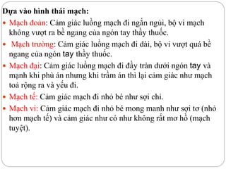 Dựa vào hình thái mạch:
 Mạch đoản: Cảm giác luồng mạch đi ngắn ngủi, bộ vi mạch
không vượt ra bề ngang của ngón tay thầy thuốc.
 Mạch trường: Cảm giác luồng mạch đi dài, bộ vi vượt quá bề
ngang của ngón tay thầy thuốc.
 Mạch đại: Cảm giác luồng mạch đi đầy tràn dưới ngón tay và
mạnh khi phù án nhưng khi trầm án thì lại cảm giác như mạch
toả rộng ra và yếu đi.
 Mạch tế: Cảm giác mạch đi nhỏ bé như sợi chỉ.
 Mạch vi: Cảm giác mạch đi nhỏ bé mong manh như sợi tơ (nhỏ
hơn mạch tế) và cảm giác như có như không rất mơ hồ (mạch
tuyệt).
 