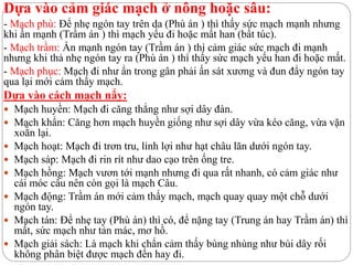 Dựa vào cảm giác mạch ở nông hoặc sâu:
- Mạch phù: Để nhẹ ngón tay trên da (Phù án ) thì thấy sức mạch mạnh nhưng
khi ấn mạnh (Trầm án ) thì mạch yếu đi hoặc mất han (bất túc).
- Mạch trầm: Ấn mạnh ngón tay (Trầm án ) thì cảm giác sức mạch đi mạnh
nhưng khi thả nhẹ ngón tay ra (Phù án ) thì thấy sức mạch yếu han đi hoặc mất.
- Mạch phục: Mạch đi như ẩn trong gân phải ấn sát xương và đun đẩy ngón tay
qua lại mới cảm thấy mạch.
Dựa vào cách mạch nẩy:
 Mạch huyền: Mạch đi căng thẳng như sợi dây đàn.
 Mạch khẩn: Căng hơn mạch huyền giống như sợi dây vừa kéo căng, vừa vặn
xoắn lại.
 Mạch hoạt: Mạch đi trơn tru, linh lợi như hạt châu lăn dưới ngón tay.
 Mạch sáp: Mạch đi rin rít như dao cạo trên ống tre.
 Mạch hồng: Mạch vươn tới mạnh nhưng đi qua rất nhanh, có cảm giác như
cái móc câu nên còn gọi là mạch Câu.
 Mạch động: Trầm án mới cảm thấy mạch, mạch quay quay một chỗ dưới
ngón tay.
 Mạch tán: Để nhẹ tay (Phù án) thì có, để nặng tay (Trung án hay Trầm án) thì
mất, sức mạch như tản mác, mơ hồ.
 Mạch giải sách: Là mạch khi chẩn cảm thấy bùng nhùng như búi dây rối
không phân biệt được mạch đến hay đi.
 