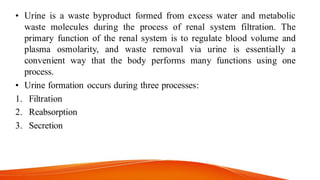 • Urine is a waste byproduct formed from excess water and metabolic
waste molecules during the process of renal system filtration. The
primary function of the renal system is to regulate blood volume and
plasma osmolarity, and waste removal via urine is essentially a
convenient way that the body performs many functions using one
process.
• Urine formation occurs during three processes:
1. Filtration
2. Reabsorption
3. Secretion
 