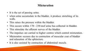 Micturation
• It is the act of passing urine.
• when urine accumulate in the bladder, it produce stretching of its
walls.
• This raises the pressure within the bladder.
• This occure within 170 - 230 mof urine has collected in bladder.
• This stimulate the afferent nerves of the bladder.
• The impulses are carried to higher centres which control mixturation.
• Micturation occures due to contraction of muscular coat of bladder
and relaxation of the sphincture.
• It is also assisted by contraction of abdominal muscle.
 