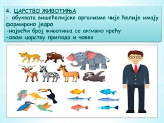 4. ЦАРСТВО ЖИВОТИЊА
- обухвата вишећелијске организме чије ћелије имају
формирано једро
-највећи број животиња се активно крећу
-овом царству припада и човек
 
