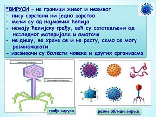 *ВИРУСИ – на граници живог и неживог
- нису сврстани ни једно царство
- мањи су од најмањих ћелија
- немају ћелијску грађу, већ су сатстављени од
наследног материјала и омотача
- не дишу, не хране се и не расту, само се могу
размножавати
- изазивачи су болести човека и других организама
грађа вируса разни облици вируса
 