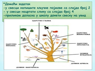 *Домаћи задатак
-у свесци напишите кључне појмове са слајда број 2
- у свесци нацртати слику са слајда број 4
-приликом доласка у школу донети свеску на увид
 