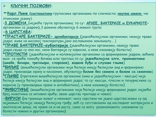  КЉУЧНИ ПОЈМОВИ:
-Карл Лине (систематика-груписање организама по сличности; научна имена –на
лтинском језику)
-3 ДОМЕНА (највеће групе организама; то су: АРХЕЕ, БАКТЕРИЈЕ и ЕУКАРИОТЕ-
организми са једром),3 домена обухватају 6 мањих група:
-6 ЦАРСТАВА:
*ПРАСТАРЕ БАКТЕРИЈЕ- архебактерије (једноћелијскии организми; немају право
једро; живе на високој температури,jако заслањеном земљишту... )
*ПРАВЕ БАКТЕРИЈЕ-еубактерије (једноћелијски организми, немају право
једро,свуда су око нас, неке бактерије су корисне, а неке изазивају болести)
*ПРОТИСТИ (једноћелијски и колонијални организми са формираним једром, већина
њих се креће помоћу бичева или трепљи,то су: једноћелијске алге, праживотиње
(амебе, бичари, трепљари, спорозое), водене буђи и слузаве гљиве)
*БИЉКЕ (вишећелијски организми чије ћелије имају ћелијски зид и формирано
једро, производе храну и кисеоник, обухватају биљке без семена и биљке са семеном)
*ГЉИВЕ (претежно вишећелијске организме (има и једноћелијских – квасци) чије
ћелије имају ћелијски зид и формирано једро; то су: квасци, плесни и печурке;неке су
корисне (у производњи хране и антибиотика), а неке изазивају болести)
*ЖИВОТИЊЕ (вишећелијске организме чије ћелије имају формирано једро; највећи
број животиња се активно крећу; овом царству припада и човек)
-ВИРУСИ (на граници живог и неживог; нису сврстани ни једно царство;мањи су од
најмањих ћелија; немају ћелијску грађу, већ су сатстављени од наследног материјала и
омотача;не дишу, не хране се и не расту, само се могу размножавати; изазивачи су
болести човека и других организама)
 