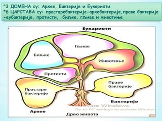 *3 ДОМЕНА су: Архее, Бактерије и Еукариоти
*6 ЦАРСТАВА су: прастаребактерије-архебактерије,праве бактерије
-еубактерије, протисти, биљке, гљиве и животиње
 