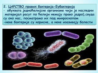 2. ЦАРСТВО правих бактерија-Еубактерија
- обухвата једноћелијске организме чији је наследни
материјал расут по ћелији немају право једро),свуда
су око нас, посматрамо их под микроскопом
-неке бактерије су корисне, а неке изазивају болести
 