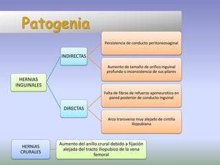 Patogenia
HERNIAS
INGUINALES
INDIRECTAS
Persistencia de conducto peritoneovaginal
Aumento de tamaño de orifico inguinal
profundo o inconsistencia de sus pilares
DIRECTAS
Falta de fibras de refuerzo aponeurotico en
pared posterior de conducto inguinal
Arco transverso muy alejado de cintilla
iliopubiana
HERNIAS
CRURALES
Aumento del anillo crural debido a fijación
alejada del tracto iliopubico de la vena
femoral
 