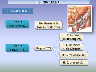 HERNIA CRURAL
CLASIFICACION
HERNIA
INCOMPLETA
HERNIA
COMPLETA
No atraviesa la
fascia cribiformes
Llega al TCS
H. C. interna
(H. de Laugier)
H. C. pectínea
(H. de Cloquet)
H. C. retrovascular
H. C. prevascular
 