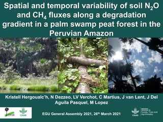 Kristell Hergoualc’h, N Dezzeo, LV Verchot, C Martius, J van Lent, J Del
Aguila Pasquel, M Lopez
Spatial and temporal vari...