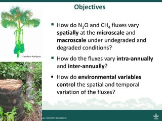 Objectives
 How do N2O and CH4 fluxes vary
spatially at the microscale and
macroscale under undegraded and
degraded condi...
